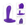 Calexotics PinPoint Pleaser