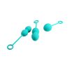 Svakom Nova Exercese Balls